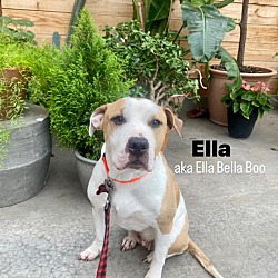 Photo of ELLA