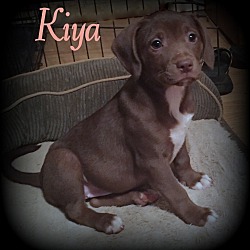Thumbnail photo of Kiya #3