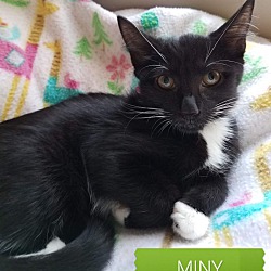 Thumbnail photo of Miny #1