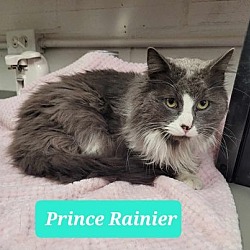 Photo of Prince Rainier