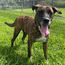 Thumbnail photo of Zane #3