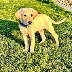 Photo of Maverick