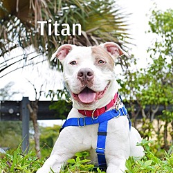 Photo of Titan