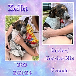 Photo of Zella