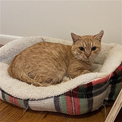 Photo of Rocket
