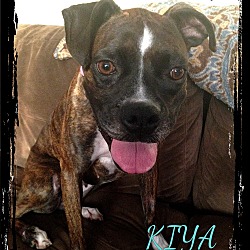 Thumbnail photo of Kiya #2