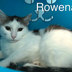 Thumbnail photo of Rowena #1