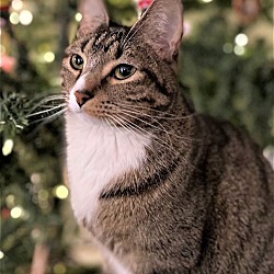 Photo of TOBY