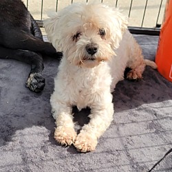 Photo of Benny