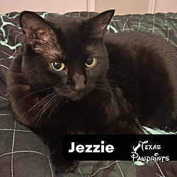 Photo of Jezzie