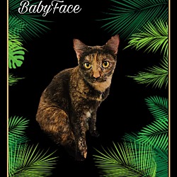 Thumbnail photo of Baby-Face #2