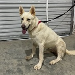 Photo of Hope in TEXAS