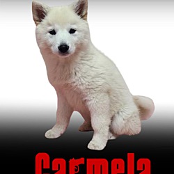 Thumbnail photo of Carmela #2