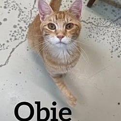 Photo of Obie