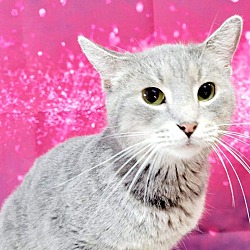Photo of Molly