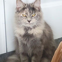 Photo of Chloe