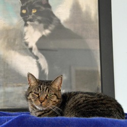 Thumbnail photo of Catsy Cline #4