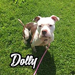 Thumbnail photo of Dolly #1