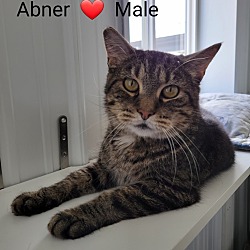 Thumbnail photo of Abner #3