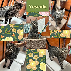 Thumbnail photo of Yesenia #1