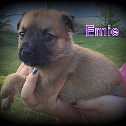 Thumbnail photo of Emie #4
