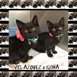 Thumbnail photo of VELAZQUEZ and GOYA #1