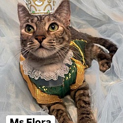 Thumbnail photo of Ms Flora at Martinez Pet Food Express  Oct 5th #1