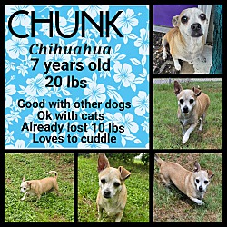 Photo of Chunk
