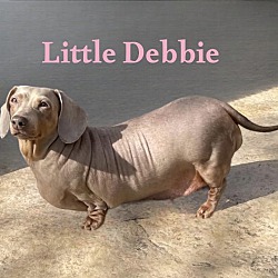 Thumbnail photo of LITTLE DEBBIE #3