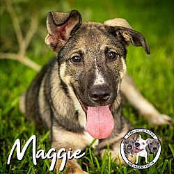 Photo of Maggie New Caney