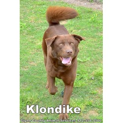 Photo of KLONDIKE
