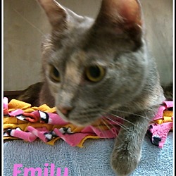 Thumbnail photo of emily #1
