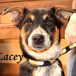 Thumbnail photo of Lacey ~ meet me! #1