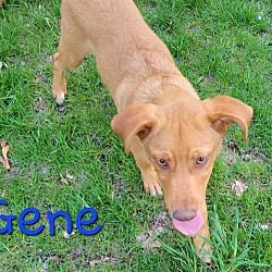 Photo of Gene