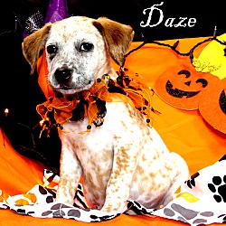 Thumbnail photo of Daze ~ meet me! #2