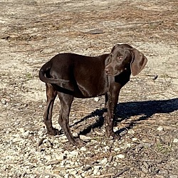 Photo of Max