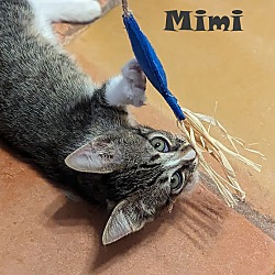 Thumbnail photo of Mimi #1