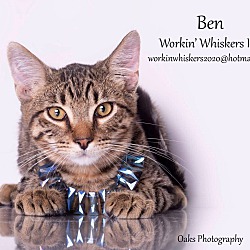 Thumbnail photo of BEN #1