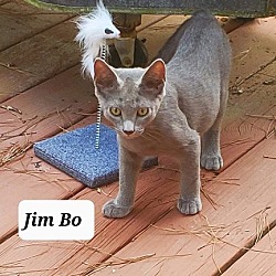 Photo of JimBo