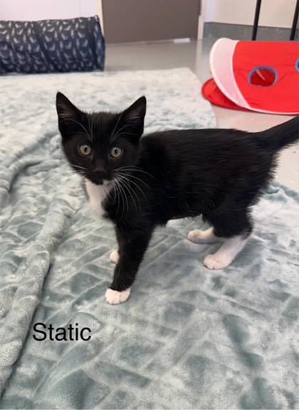 Photo of Static
