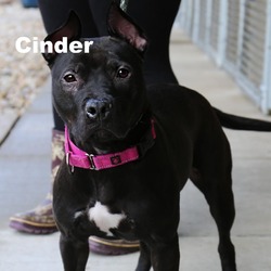 Thumbnail photo of Cinder 240752 #1