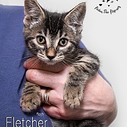 Thumbnail photo of Fletcher #1