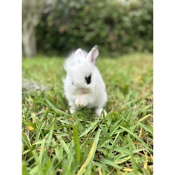 Thumbnail photo of Marilyn Bun-roe #2