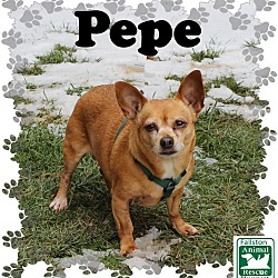 Thumbnail photo of Pepe #3