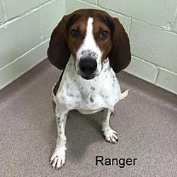 Thumbnail photo of Ranger #3