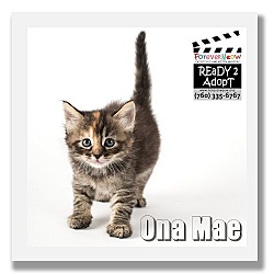 Thumbnail photo of Ona Mae #1