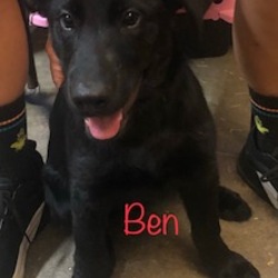 Photo of ben