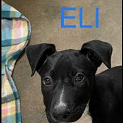 Photo of Eli