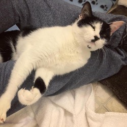 Photo of Wobbles