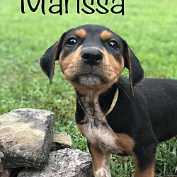 Thumbnail photo of Marissa ~ meet me! #1